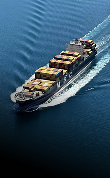 Track all trade compliance obligations in one place, reduce manual overload, and accelerate regulatory processes.
